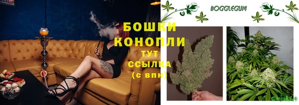 хмурый Карпинск