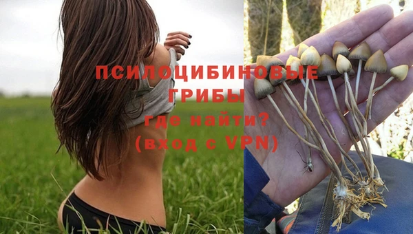 MESCALINE Карталы