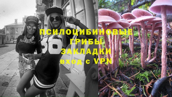 хмурый Карпинск