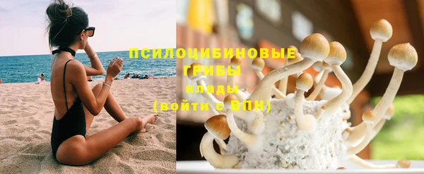 винт Майский