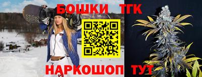 твердый Гусев