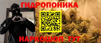 твердый Гусев