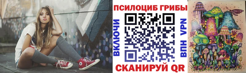 закладки  Нижний Новгород  Псилоцибиновые грибы Magic Shrooms 
