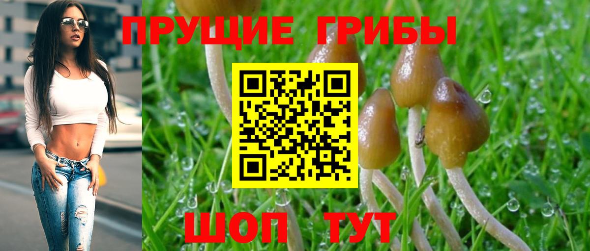 Галлюциногенные грибы мухоморы  Россия 