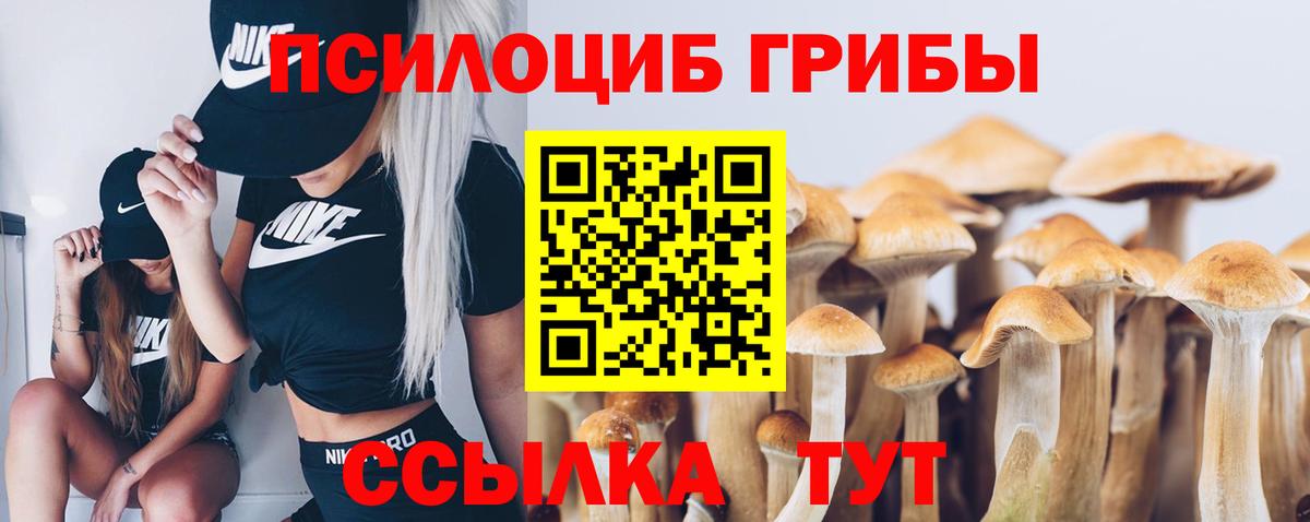 Псилоцибиновые грибы Magic Shrooms Россия