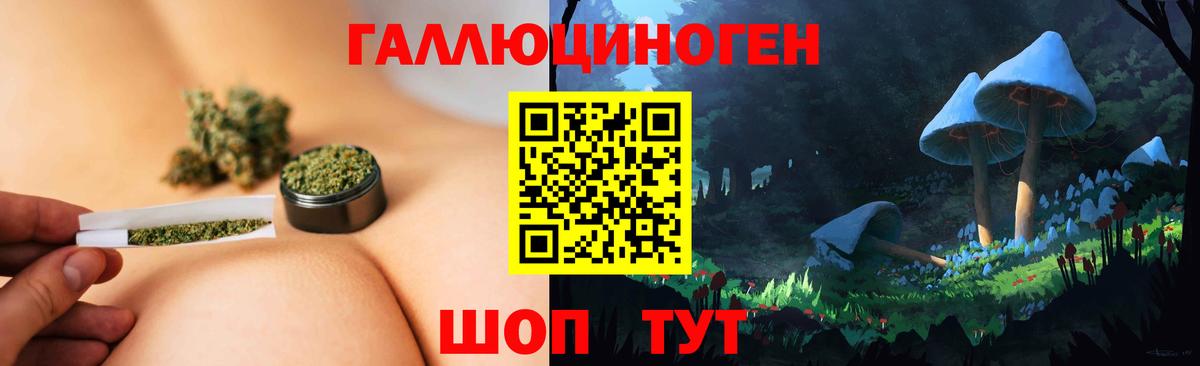 Россия  Псилоцибиновые грибы GOLDEN TEACHER  Вход с VPN 
