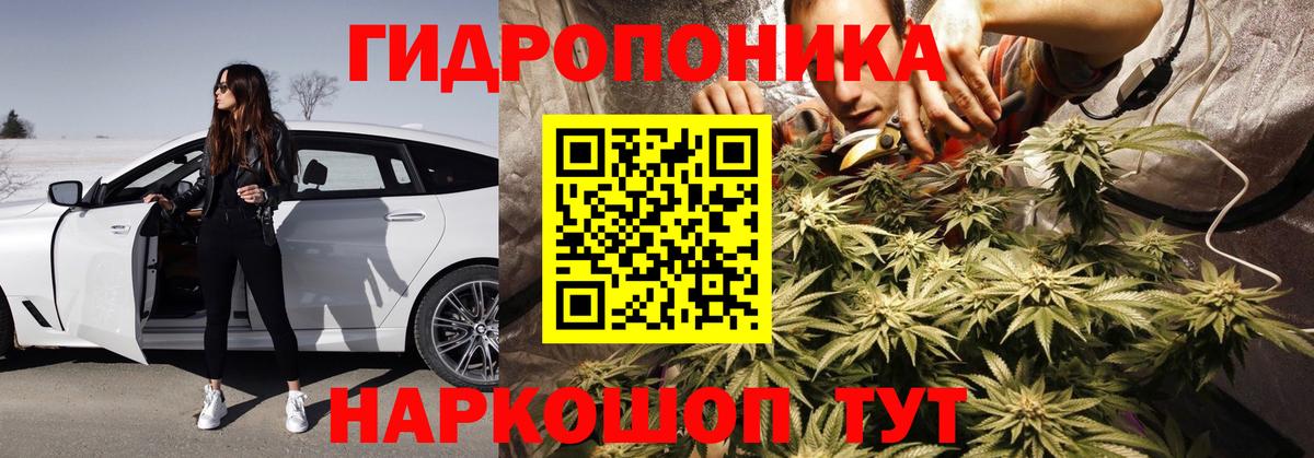 МАРИХУАНА Ganja Россия