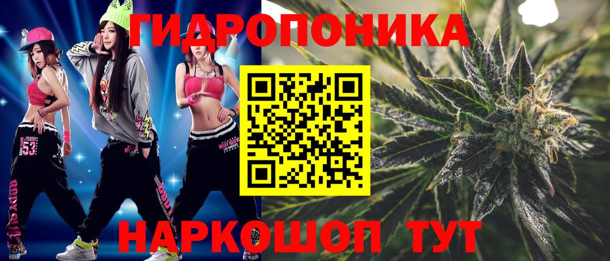 Шишки марихуана OG Kush  Канабис тримм  Вход с VPN  Каннабис план  Россия  Марихуана сатива 